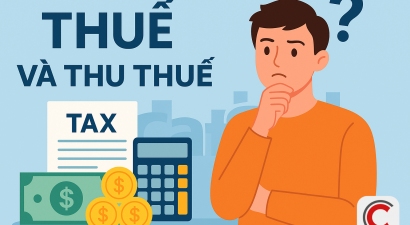 Hộ kinh doanh bị truy thu hơn 1 tỷ đồng tiền thuế khi bán cơm online từ năm 2018: Đại diện Thuế Hải Phòng nói gì?